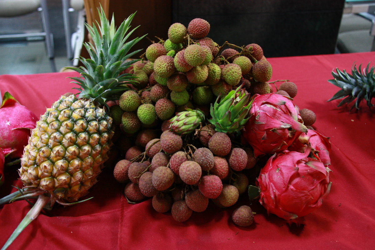 南投縣主要水果產品 南投縣主要水果產品