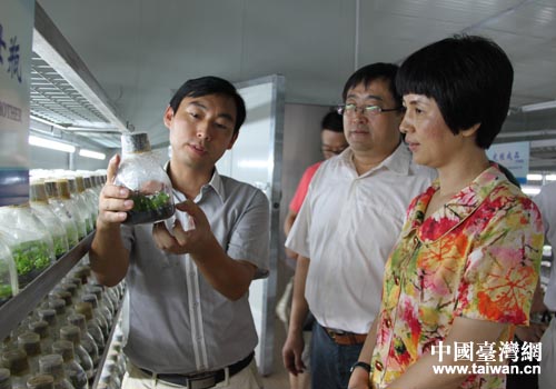 安徽馬鞍山副市長王曉焱調研臺資企業 安徽馬鞍山副市長王曉焱調研臺資企業