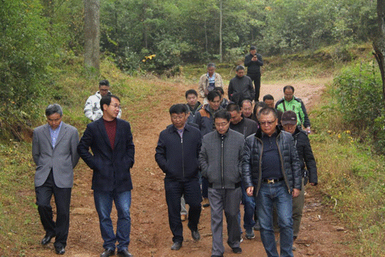 實(shí)地考察會澤縣魯納鄉(xiāng)農(nóng)業(yè)項(xiàng)目基地 實(shí)地考察會澤縣魯納鄉(xiāng)農(nóng)業(yè)項(xiàng)目基地