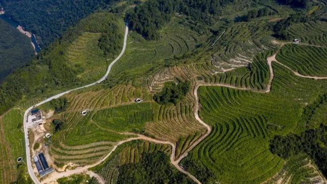 貴州新添14個全國地理標志農產品,你pick哪一個?