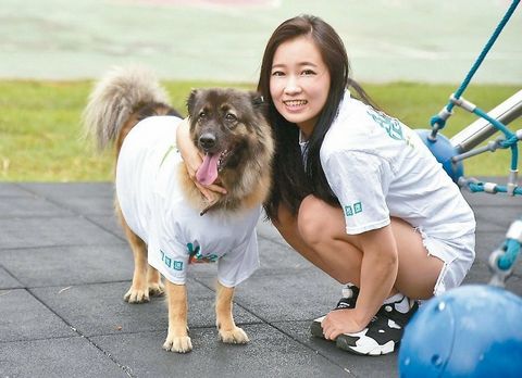 臺灣選戰拼創意:參選人文宣出奇招比誰“吸睛”