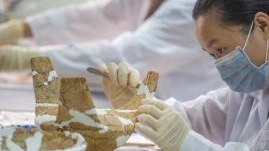 以文物保護帶動文旅發展