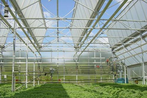 2021年,山西設施農業如何發展?.jpg