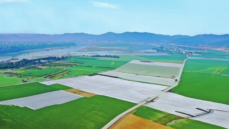 2020年四川糧食產(chǎn)量突破700億斤