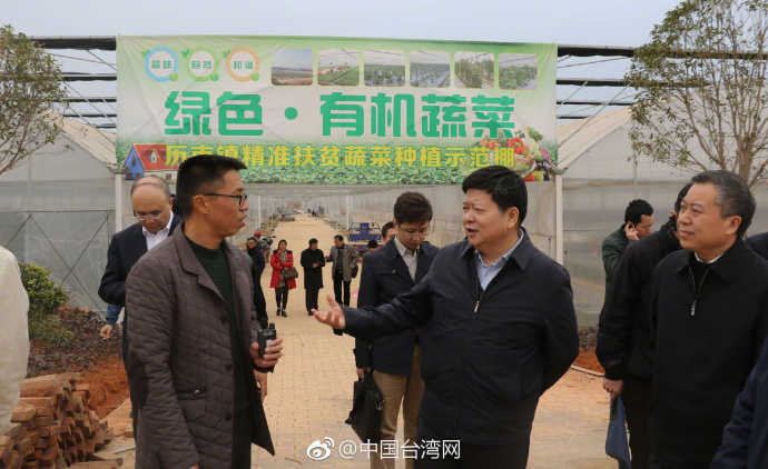 國臺辦副主任龍明彪定南調研 盼村民生活越來越好 國臺辦副主任龍明彪定南調研 盼村民生活越來越好