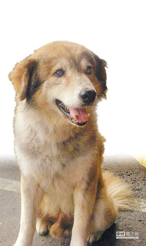 յ굫\ػˑѱġqqЕrӈ󡷈D