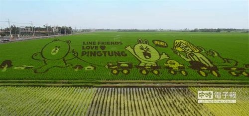 全球首座LINE彩稻田屏東亮麗登場(圖)
