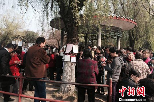 南昌現“父母代相親”場景專家:尋緣還得親自出馬(圖)