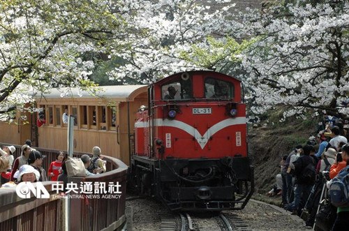 臺(tái)灣阿里山森林鐵路20年來(lái)首次漲價(jià)最多漲1倍