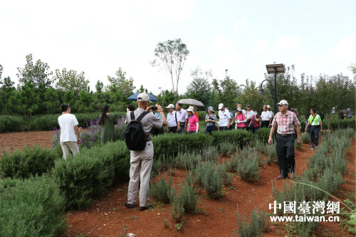 在石林臺(tái)灣農(nóng)民創(chuàng)業(yè)園參觀 在石林臺(tái)灣農(nóng)民創(chuàng)業(yè)園參觀