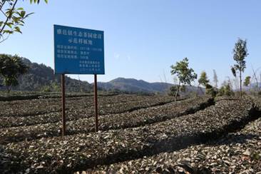 說明: 8Q0A2463 說明: 8Q0A2463