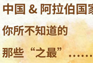 中國與阿拉伯國家關系“之最”,了解一下!