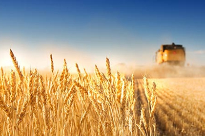 夯實固本安民之要,繼續為全球減貧作重要貢獻