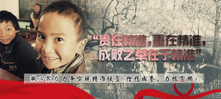 脫貧攻堅須壓實責任,下一番“繡花”功夫