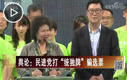 輿論:民進黨打“統獨牌”騙選票