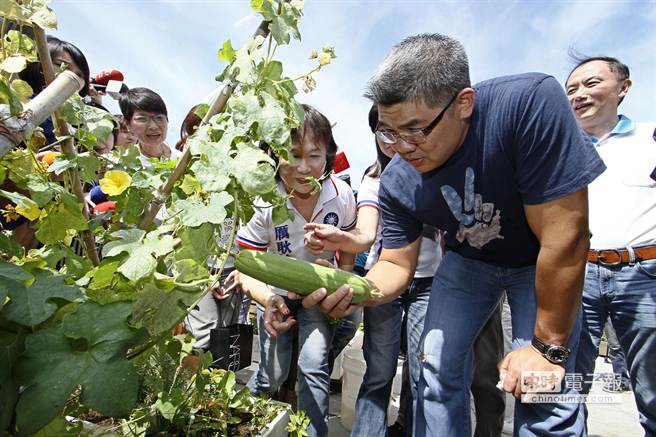 連勝文充分展現平民作風。圖為連勝文日前參觀位于錦安市場的市民屋頂農園,彎腰看作物 連勝文充分展現平民作風。圖為連勝文日前參觀位于錦安市場的市民屋頂農園,彎腰看作物