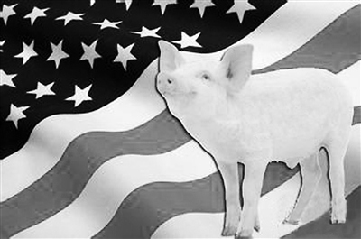 瘦肉精引發口水戰“英倫”斗法為何拿美豬開刀?