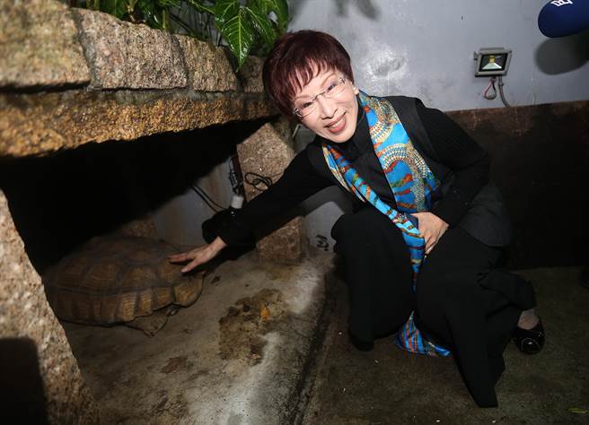 洪秀柱盼年輕一代接班:基本考慮不參選下屆黨主席 洪秀柱盼年輕一代接班:基本考慮不參選下屆黨主席