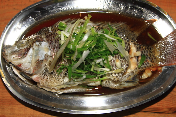 清蒸臺灣鯛 清蒸臺灣鯛