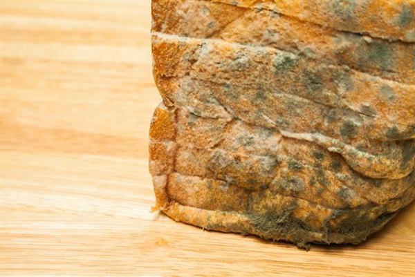 吐槽大會:臺大醫(yī)生救人反遭誣告 感嘆“在臺灣當(dāng)醫(yī)生豬狗不如” 吐槽大會:臺大醫(yī)生救人反遭誣告 感嘆“在臺灣當(dāng)醫(yī)生豬狗不如”