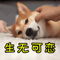 賴清德引“九陽(yáng)神功”過(guò)招管中閔 民進(jìn)黨誓將“卡管”進(jìn)行到底 賴清德引“九陽(yáng)神功”過(guò)招管中閔 民進(jìn)黨誓將“卡管”進(jìn)行到底