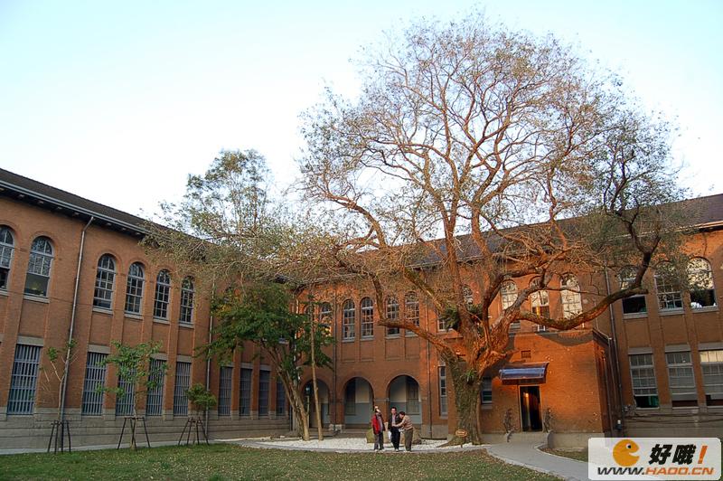 臺大校園風光 臺大校園風光