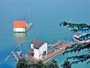 日月潭船屋近年來大幅增加,對景觀或水域管理都造成極大困擾。圖片來源:臺灣《中國時報》