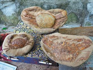 臺灣一男子穿梭溪谷30年搶救四萬件化石(圖)