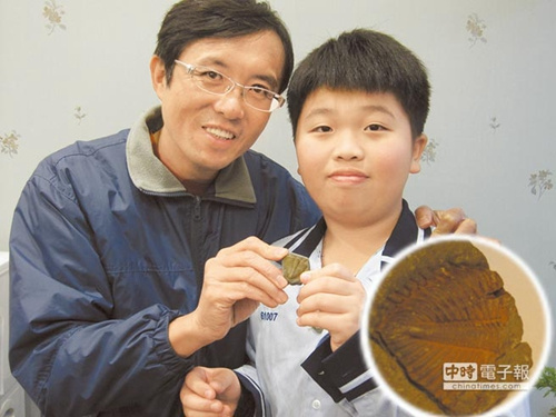 臺灣桃園出土2塊4.9億年前的三葉蟲化石(圖)