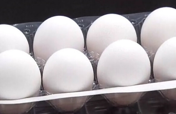 臺灣高溫?zé)崴离u,蛋價飆升,茶葉蛋真成貴重品。(臺媒圖) 臺灣高溫?zé)崴离u,蛋價飆升,茶葉蛋真成貴重品。(臺媒圖)