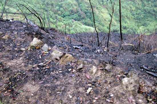 ɽӟ5해ϨF(xin)(chng)ɽD