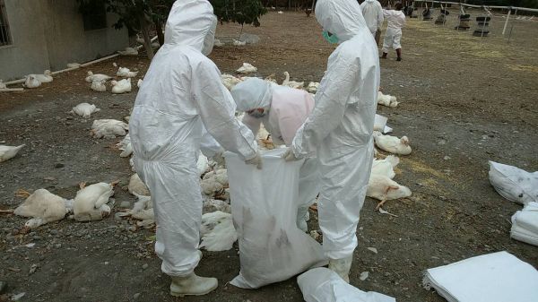 ⲻûh𡣣DƬԴ_ЏVW