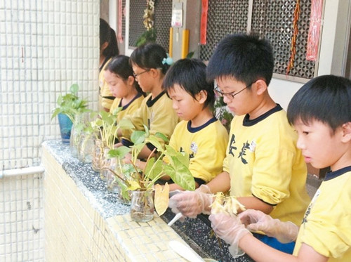 臺北市嚴(yán)防登革熱288所學(xué)校環(huán)境大掃除(圖)