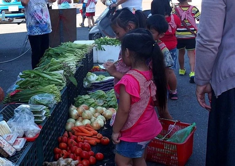 臺灣蔬菜產地大部分未受臺風影響,蔬菜價格卻飆升 臺灣蔬菜產地大部分未受臺風影響,蔬菜價格卻飆升