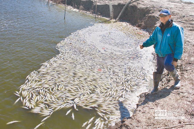 臺灣漁民擬登陸求合作被擋 揚言與臺當局“拼命” 臺灣漁民擬登陸求合作被擋 揚言與臺當局“拼命”