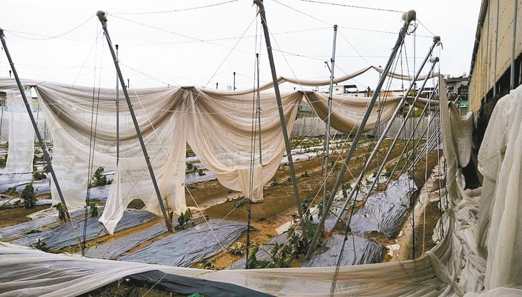 |hr(nng)ЩW(wng)ϴ_L(fng)@ֱ