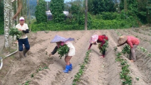 r(nng)@꣬Ӱɽعϴʣֻaֲ_(lin)ψӛߺzӰ