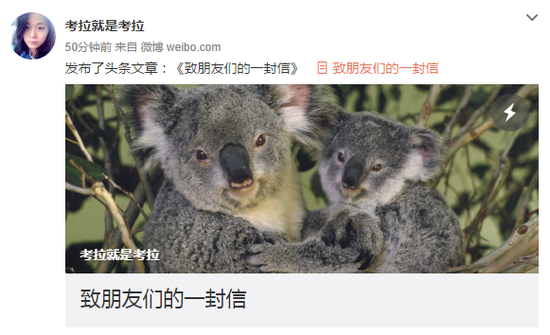 美女考拉揭“人權(quán)律師”黑幕:成為他人棋子 美女考拉揭“人權(quán)律師”黑幕:成為他人棋子