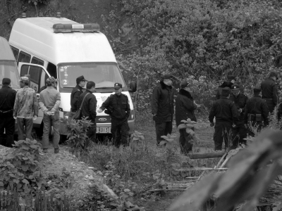 云南千余畝橡膠林被鏟 村民訴政府信息公開勝訴 云南千余畝橡膠林被鏟 村民訴政府信息公開勝訴