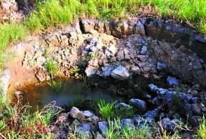 稻田出現塌陷的情況。 稻田出現塌陷的情況。