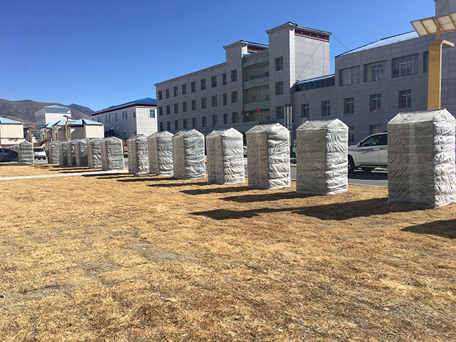 【冬行西藏】西藏錯那:一棵樹 抵萬金