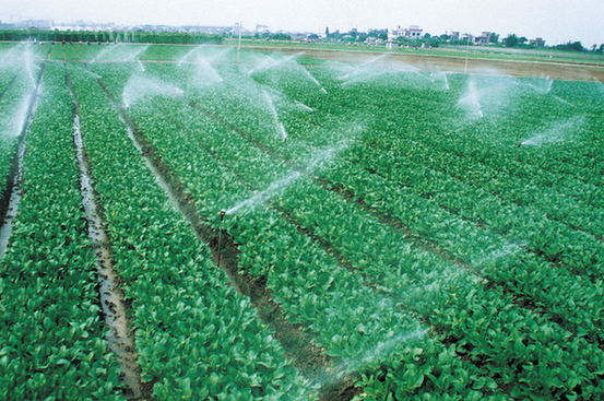 【砥礪奮進的五年】四川德陽市旌陽區(qū)脫貧攻堅 小康路上“一個都不能少” 【砥礪奮進的五年】四川德陽市旌陽區(qū)脫貧攻堅 小康路上“一個都不能少”