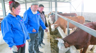 莫瑪鐵熱克村里的新變化 莫瑪鐵熱克村里的新變化