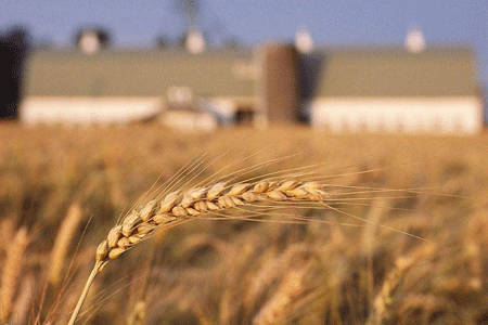 ϾW(wng)xʮŴ󡿌F(xin)Сr(nng)ͬF(xin)r(nng)I(y)l(f)չЙC㕽