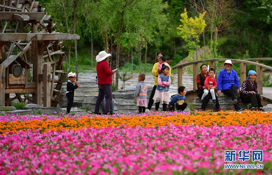 (新華全媒頭條·走向我們的小康生活·決戰決勝脫貧攻堅·圖文互動)(8)脫貧的顏色