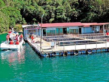 ̶ݽ^ˮɘO_DƬԴ_Їr