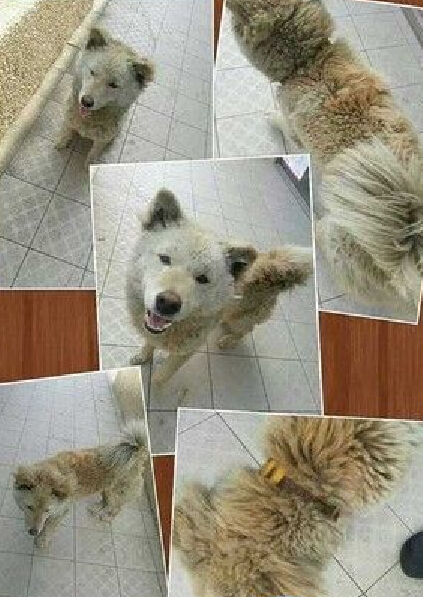  IBُI_˹̽^uȥϰ