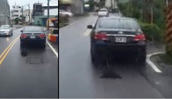 惡男開(kāi)車(chē)把小狗拖到死 惡男開(kāi)車(chē)把小狗拖到死