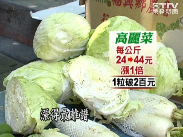 臺風來勢洶洶,高麗菜漲幅最高 臺風來勢洶洶,高麗菜漲幅最高