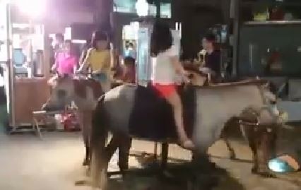臺(tái)灣樂(lè)華夜市驚見“活體旋轉(zhuǎn)木馬”網(wǎng)友批:太殘忍。(臺(tái)媒圖) 臺(tái)灣樂(lè)華夜市驚見“活體旋轉(zhuǎn)木馬”網(wǎng)友批:太殘忍。(臺(tái)媒圖)